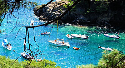 Cala dello Spido Domino (I Tremiti)