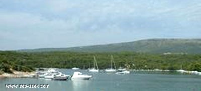 Uvala Tunarica Zaljev Rasa