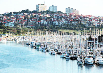 Marina Veruda 
