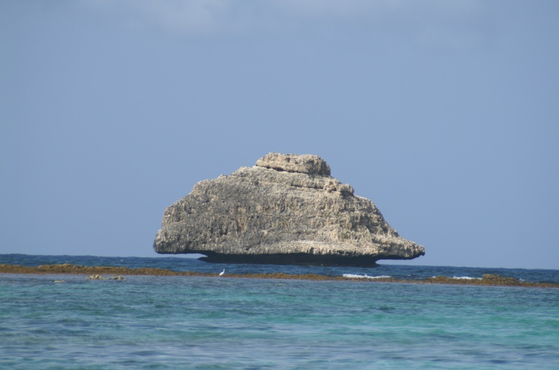 Anse à la Gourde (St François)