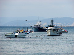 Bahia De Manta