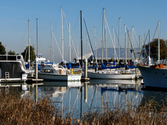 Antioch Marina