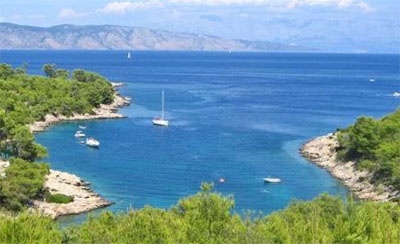 Uvala Maslinica Hvar