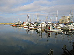 Westhaven Cove Marina