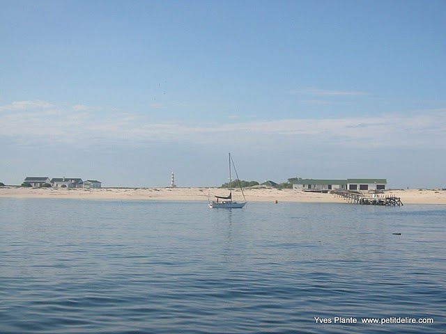 Dassen Island