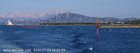 Isola della Bocca (Sardegna)