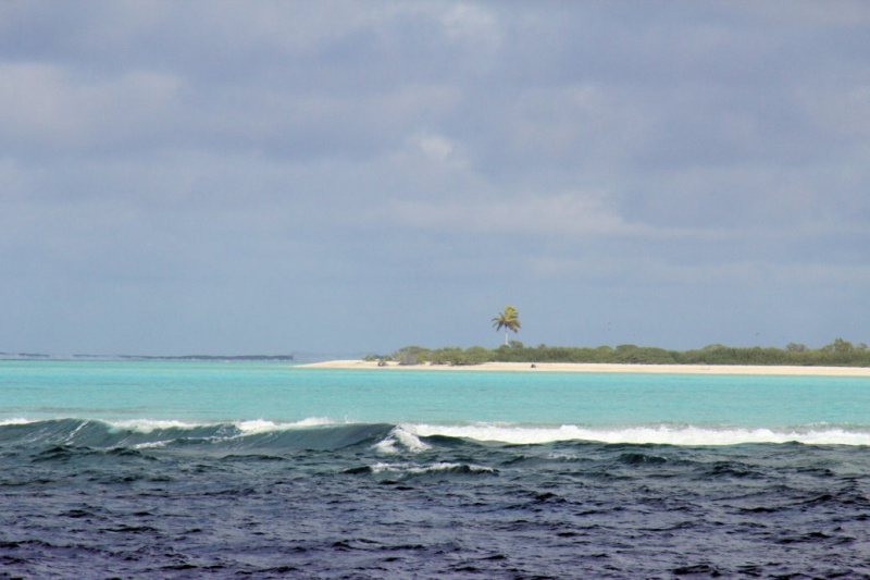 Oeno Island (Pitcairn)