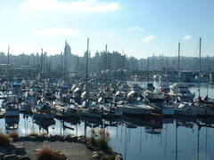 Olympia harbor