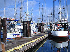 Victoria Fisherman's wharf