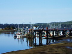 Masset Harbor