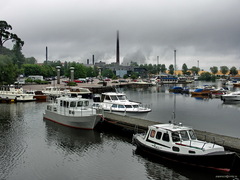 Kotka