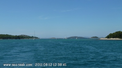 Zminjak - Veli Vinik