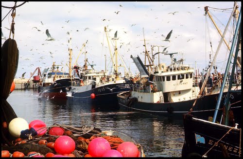 Fraserburgh Harbor