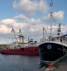 Buckie Harbor