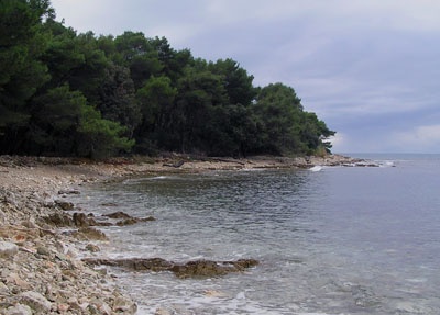 Rt Barbariga (Pta Cissana)