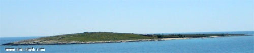 Otok Levan and Levanic