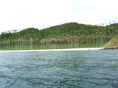 Pulau Batee (S P Nasi)