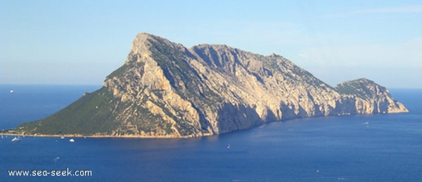 Isola Tavolara (Sardegna)