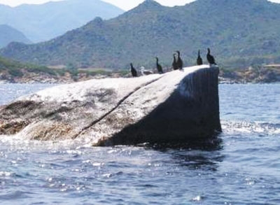 Scoglio di Sant Elmo (Sardegna)