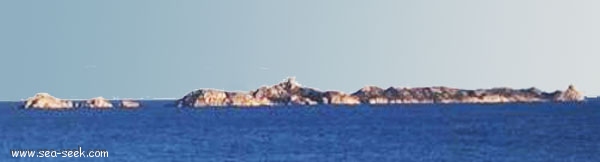 Isola Serpentara (Sardegna)