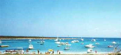 Baia dell'isola Piana (Asinara Sardegna)