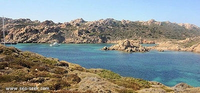 Cala lunga (Razzoli)