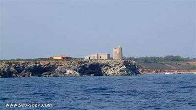 Torre del Sevo o Mosca (Turre Seu Sardegna)