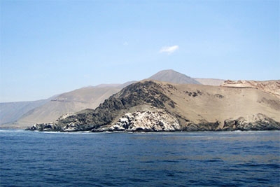 Punta Pisagua (Tarapaca N Chile)