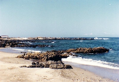 Caleta Buena (Tarapaca N Chile)