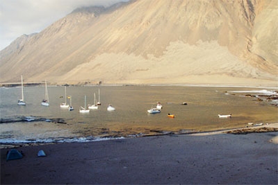 Caleta Chica (Tarapaca N Chile)