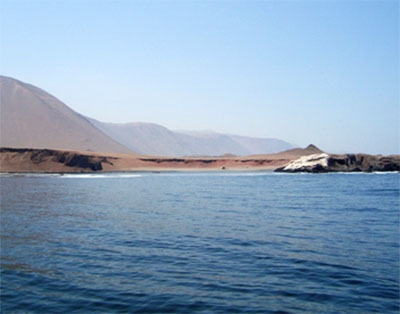 Caleta Chica (Tarapaca N Chile)