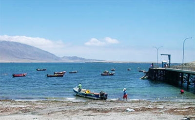 Caleta Constitucion (Antofagasta N Chile)