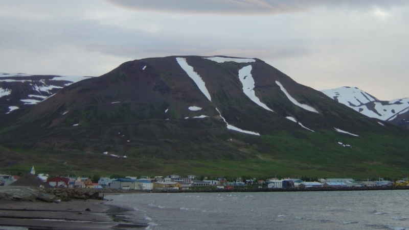 Dalvik