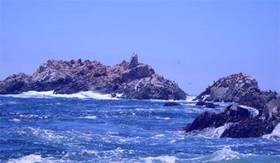 Punta Taltal (Antofagasta N Chile)