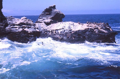Punta Lagartos (Antofagasta N Chile)