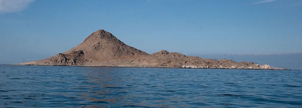 Isla Pan de Azucar (Atacama N Chile)