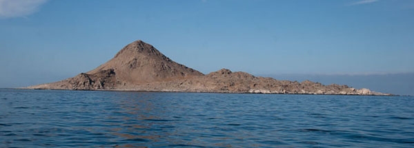 Isla Pan de Azucar (Atacama N Chile)