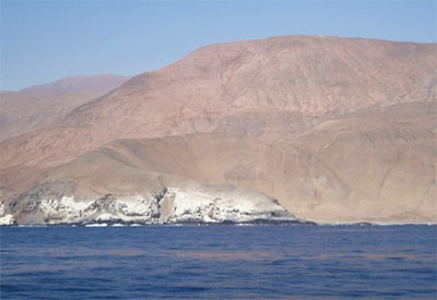 Punta Ballena (Tarapaca N Chile)