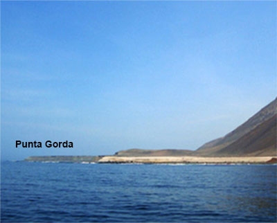 Punta Gorda (Tarapaca N Chile)