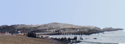 Isla Guaman (Antofagasta N Chile)