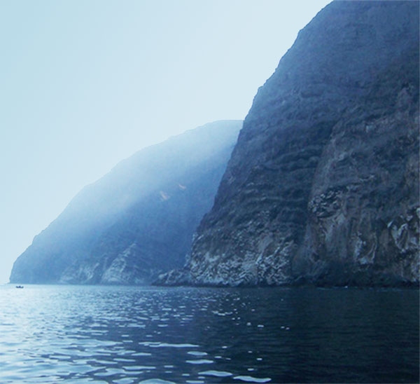 Cabo Lobos (Arica N Chile)