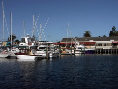 Gisborne Harbor