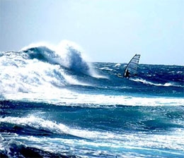 Punta Lagartos (Antofagasta N Chile)