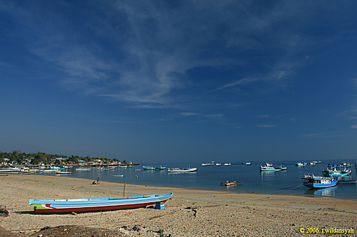 Kupang Kupang