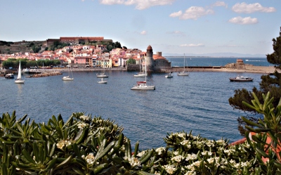 Collioure - Anse de la Baleta