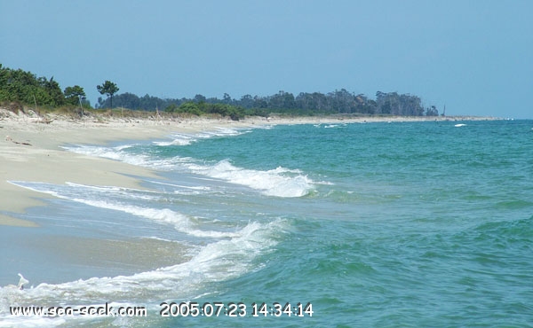 Plage près de Casabianda