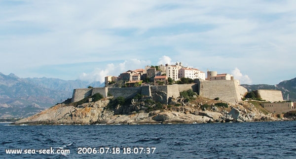 Calvi