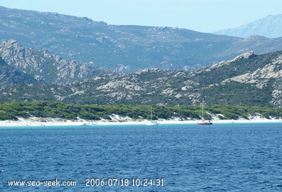 Plage de Saleccia