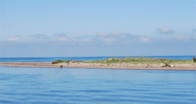 Isla Buda (Ebre)