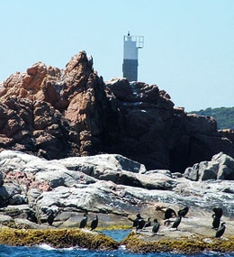 Islas Hormigas ( Islas Formigues Palamos)